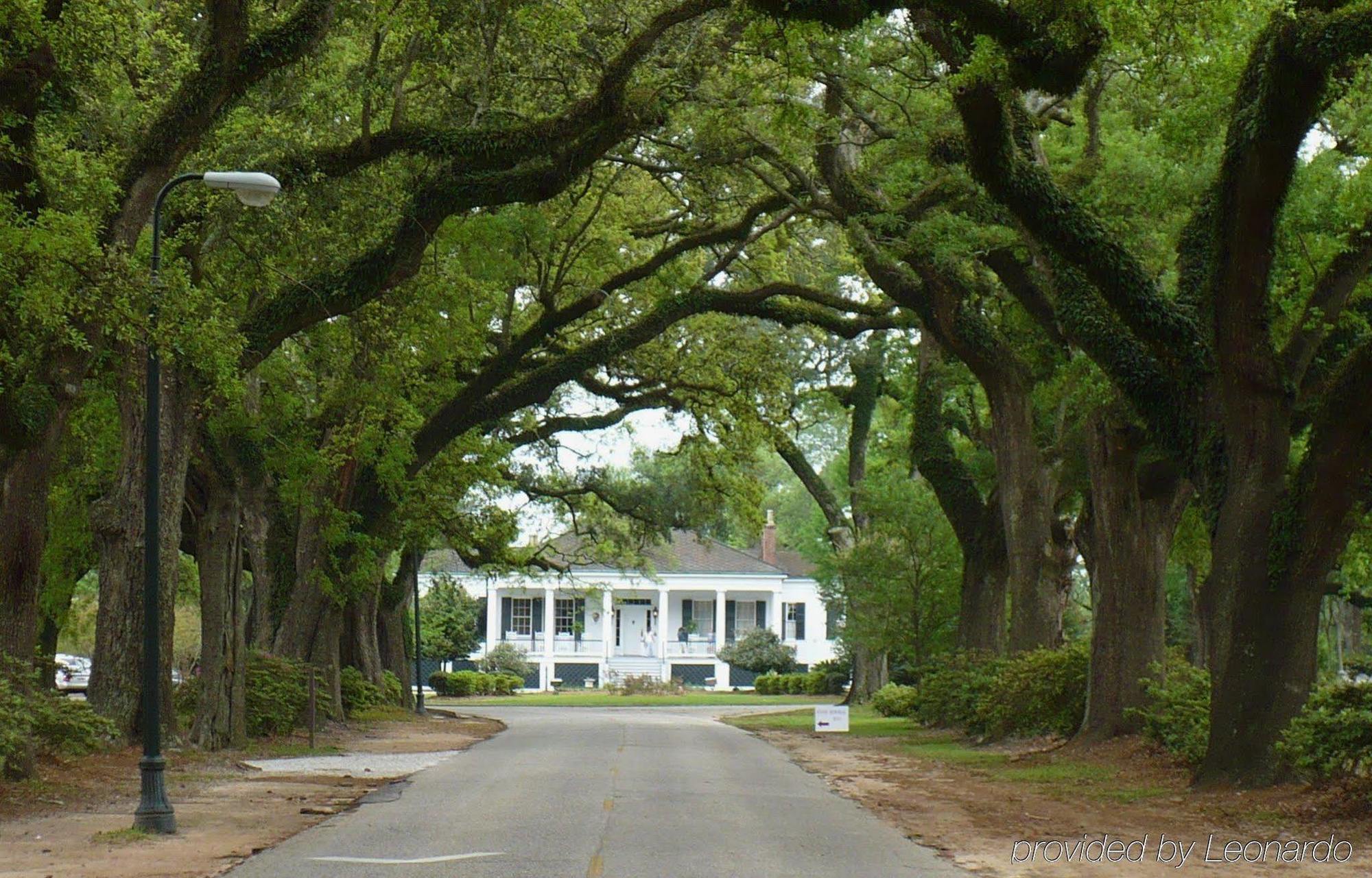 Sleep Inn & Suites North Mobile Saraland Eksteriør bilde